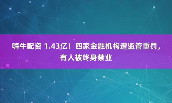嗨牛配资 1.43亿！四家金融机构遭监管重罚，有人被终身禁业