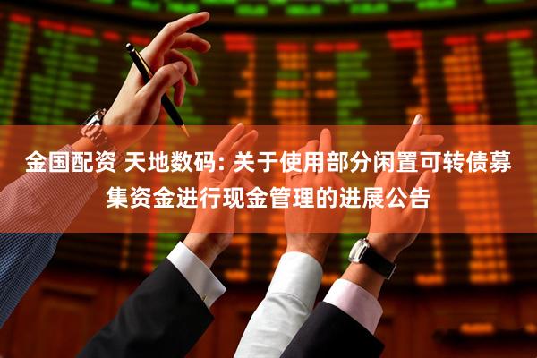 金国配资 天地数码: 关于使用部分闲置可转债募集资金进行现金管理的进展公告