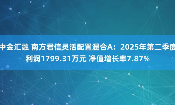 中金汇融 南方君信灵活配置混合A:2025年第二季度利润1799.31万元 净值增长率7.87%