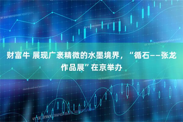 财富牛 展现广袤精微的水墨境界，“循石——张龙作品展”在京举办